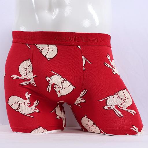 მამაკაცის საცვალი cotboxer კოდი 2097