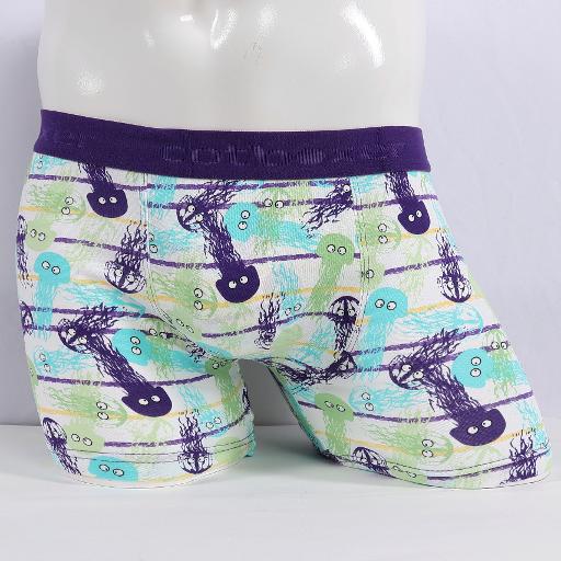 მამაკაცის საცვალი cotboxer კოდი 2094