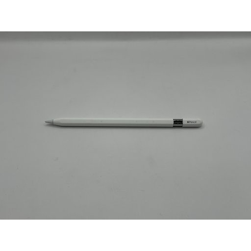 Apple Pencil (USB-C) ID:573335-IV