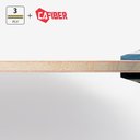 timo-boll-caf---fl
